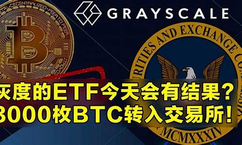 000枚btc的钱包数再创新高(btc一枚多少钱)